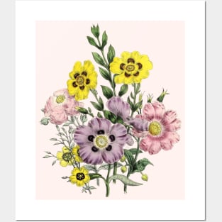 Blooming Flowers Graden Vintage Botanical Illustration Posters and Art